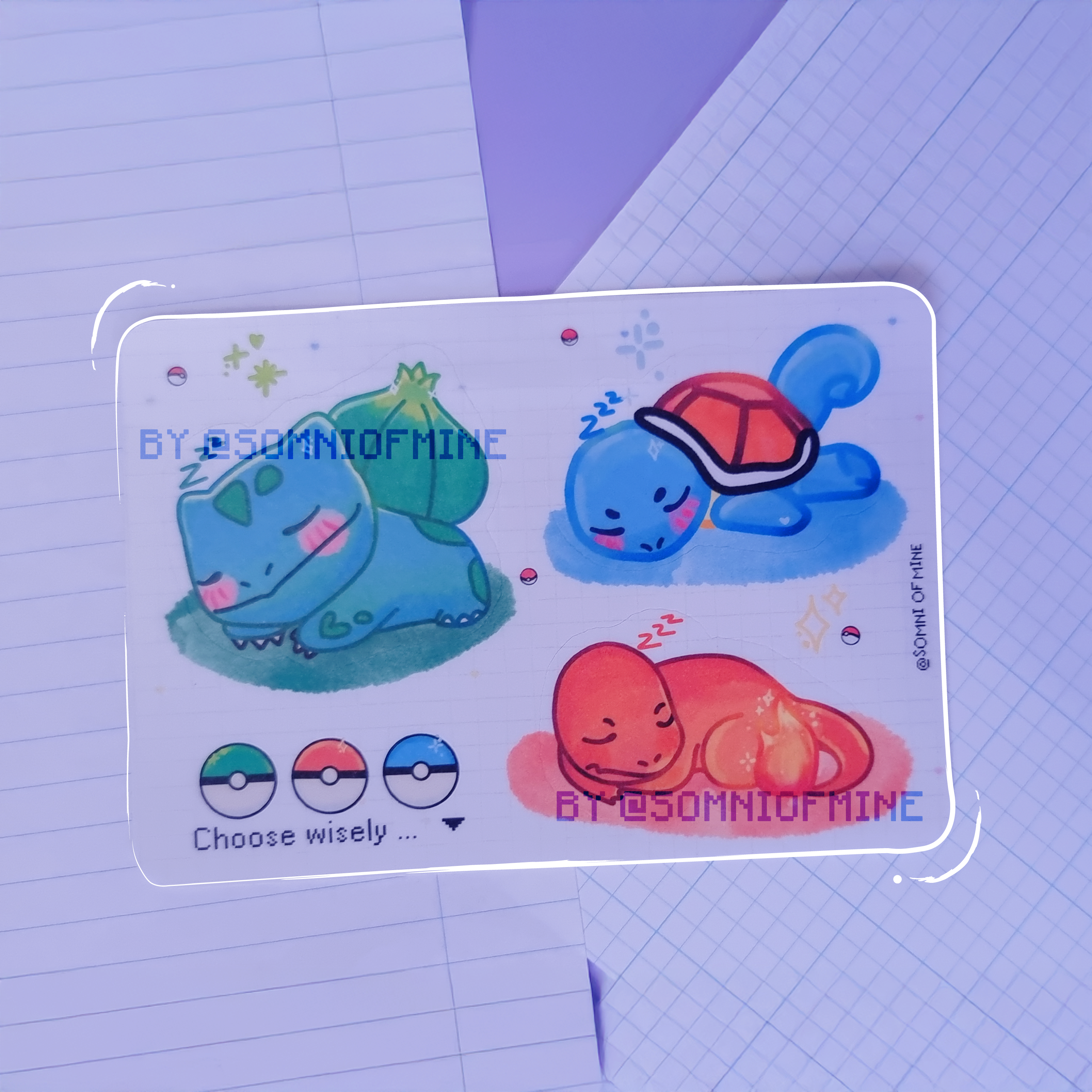 Pokémon - Trainer bundle pack